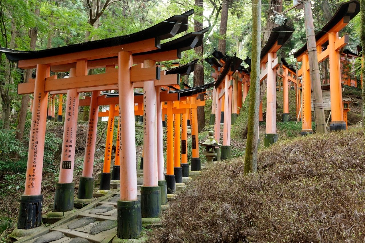 El camino hacia el templo de Inari