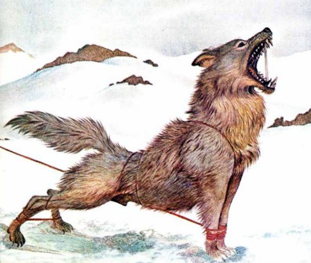 Mitología Nórdica