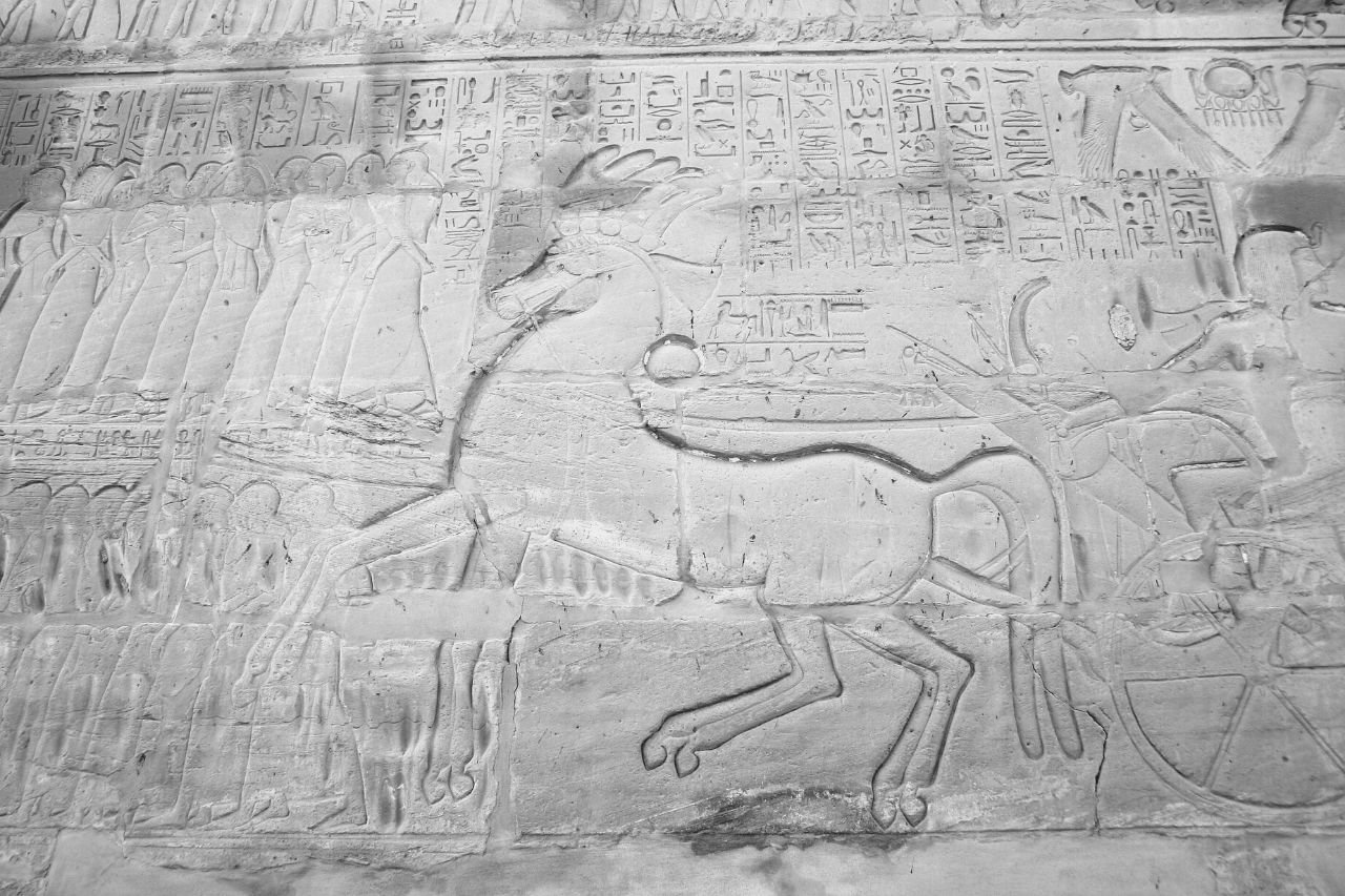 Caballos y carros del antiguo Egipto