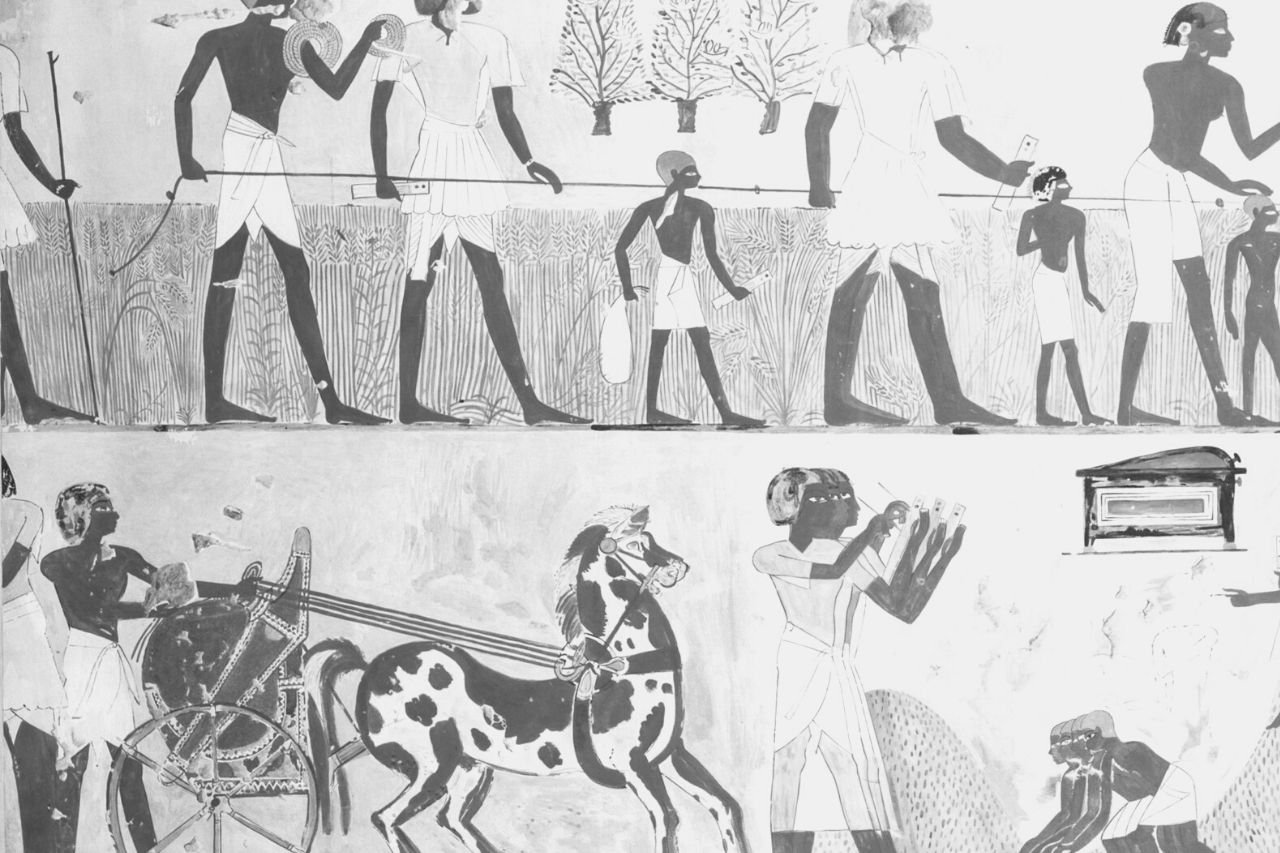 Los Caballos en el Antiguo Egipto: Cómo se Volvieron Importantes