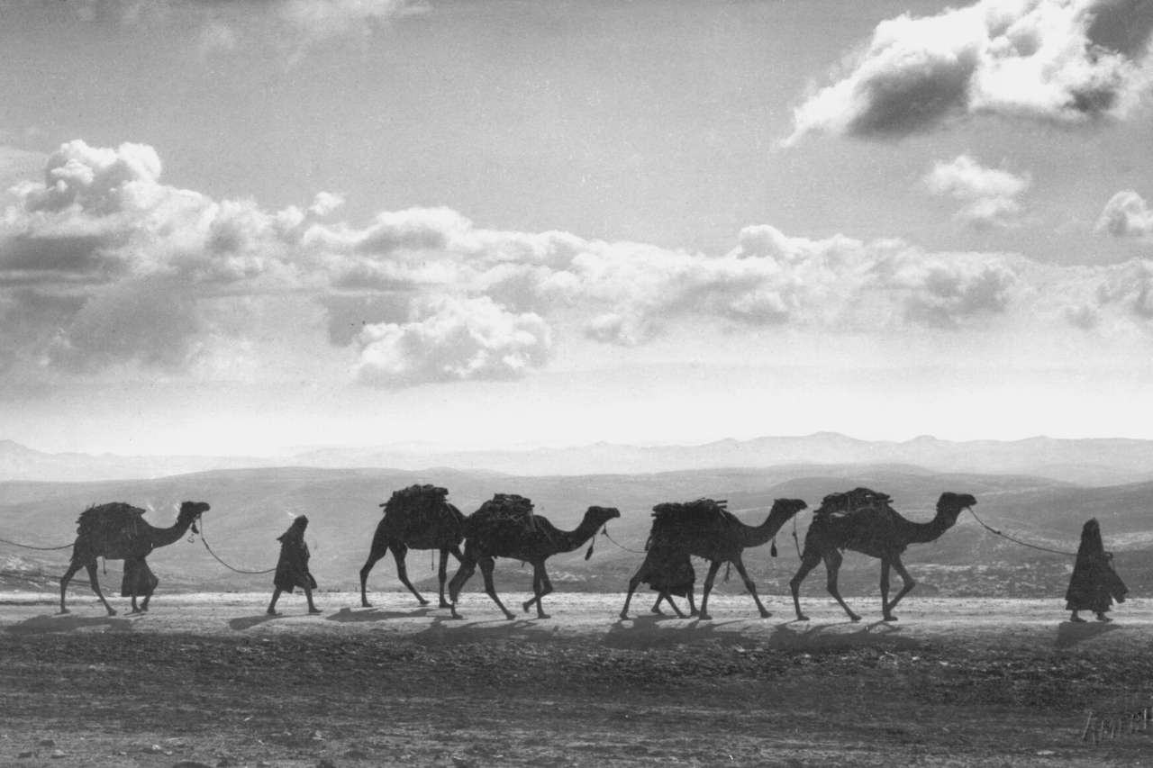 Historia de Palestina: Un país en la encrucijada de las fes