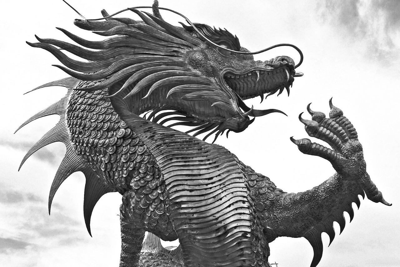 Dragón con Pelaje: La Leyenda de un Lagarto Volador