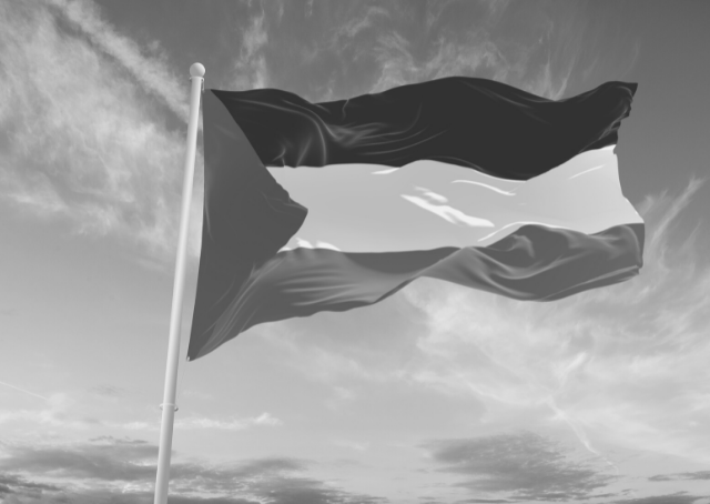 Bandera de Palestina