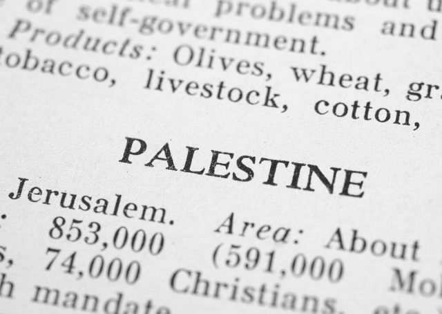 Historia de Palestina en un libro