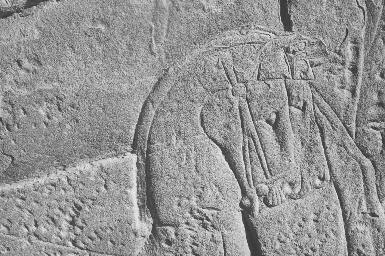 Caballos en el antiguo Egipto