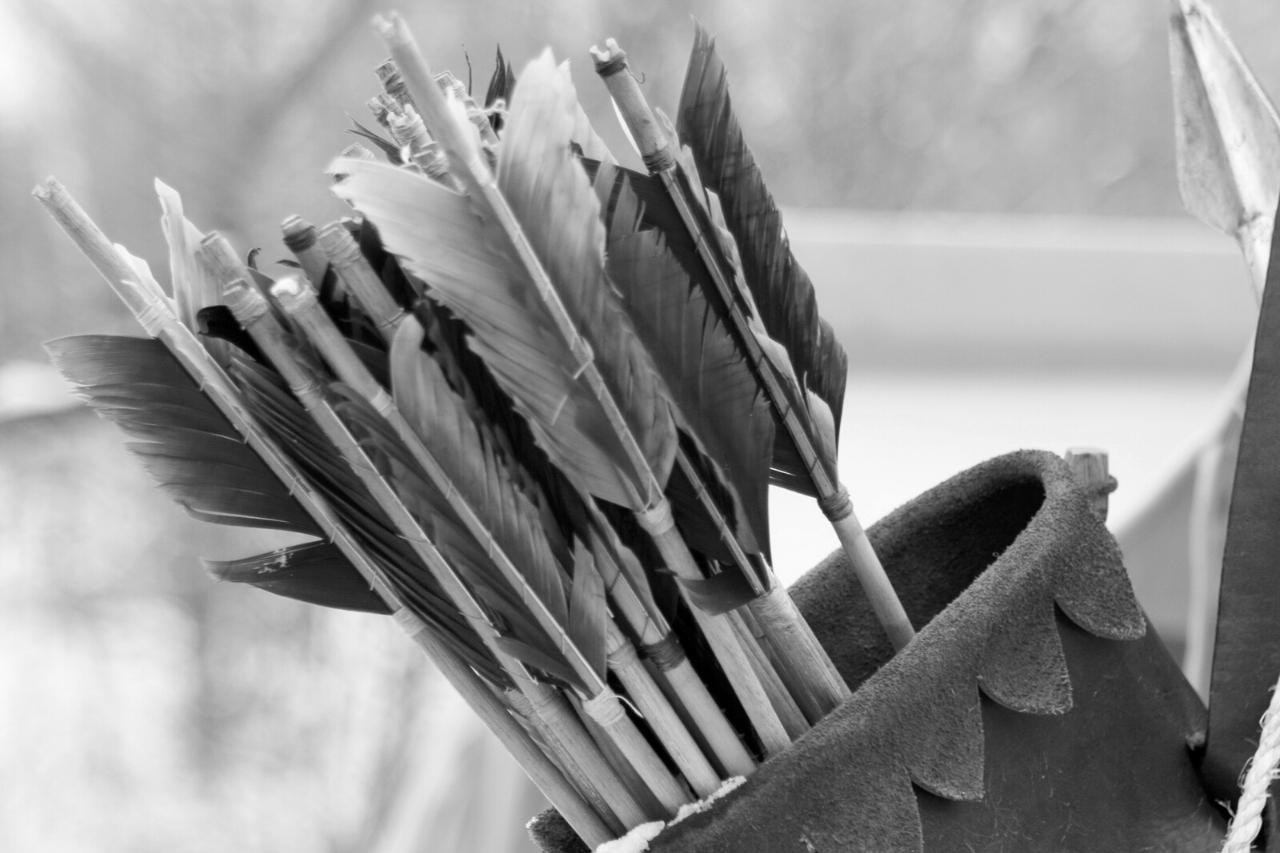 ¿Cuántas flechas hay en una aljaba? Conceptos básicos de arcos y flechas