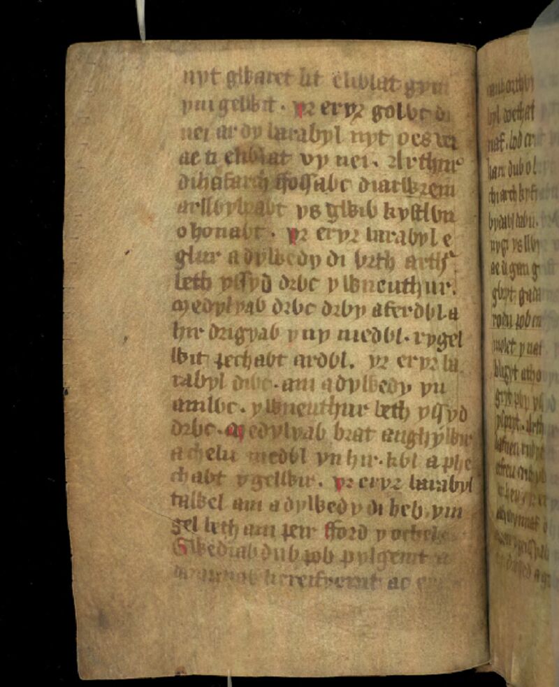 MS 20 del Jesus College, folio 1v, que muestra la primera página del poema Ymddiddan Arthur a’r Eryr, o Arturo y el Águila