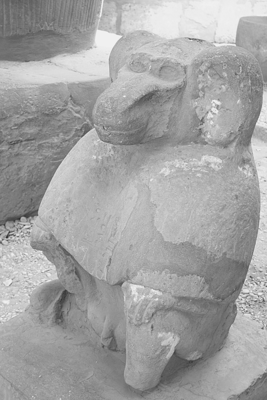 Estatua de mono