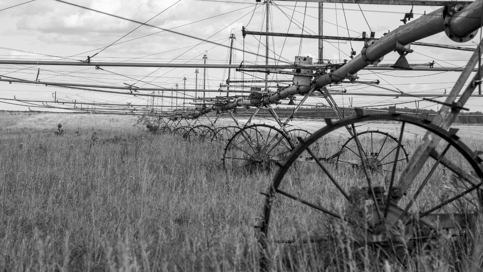 ¿Por qué los mesopotámicos crearon sistemas de irrigación? Aquí está la verdad