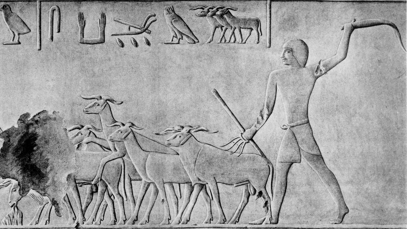 ¿Por qué los pastores eran una abominación para Egipto? Cuatro teorías convincentes
