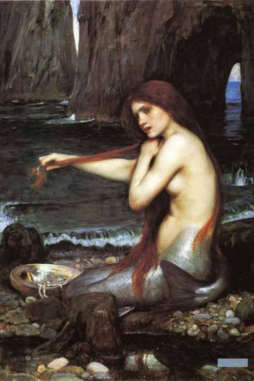 Sirena vs Sirena marina - cuáles son las diferencias