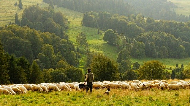 Agricultor talysh