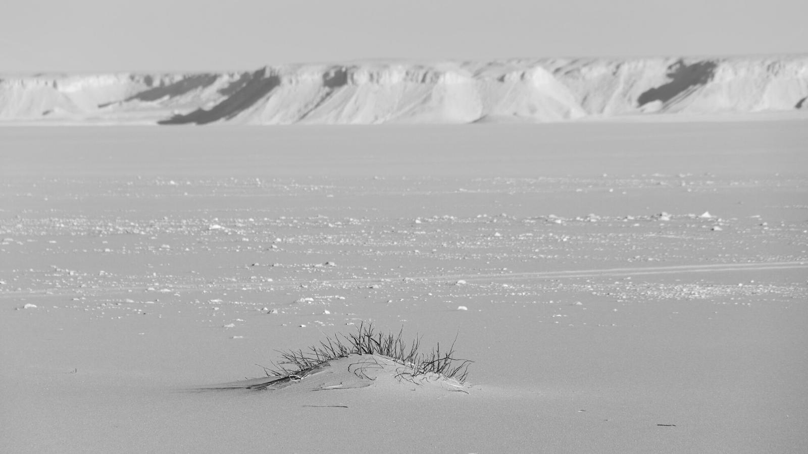 Desierto Occidental de Egipto