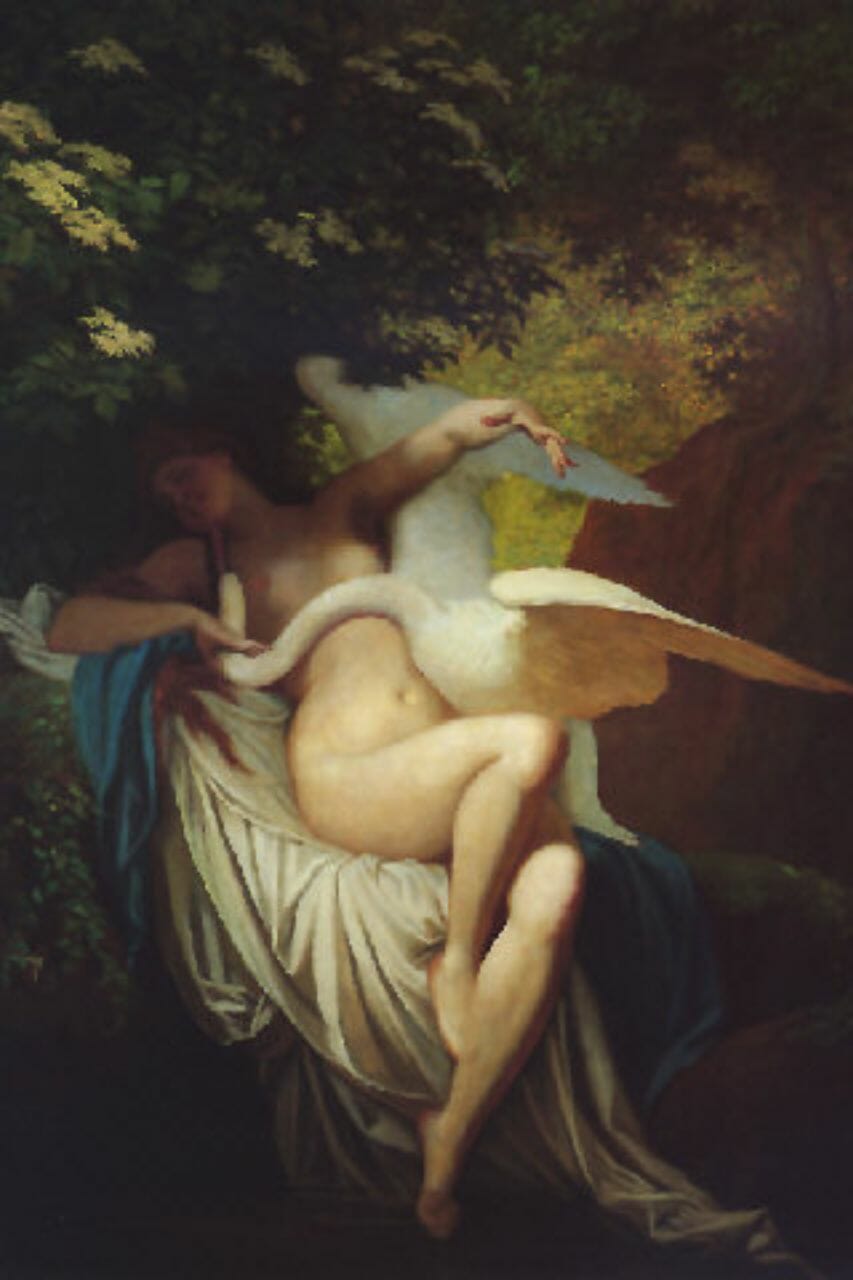 Zeus se apareció a Leda en forma de cisne: una historia de pasión